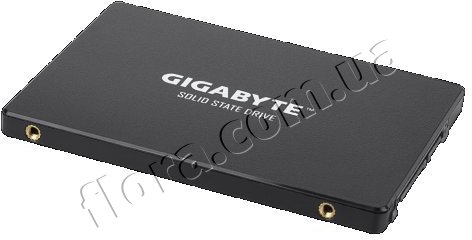 GP-GSTFS31240GNTD