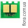 U37-2CHIP-C10