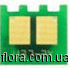 U37-2CHIP-MA10